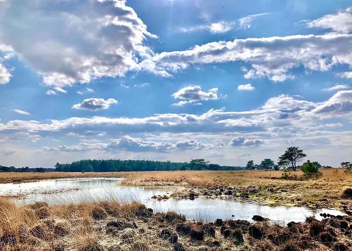 Gouden Hert: Relaxen In Comfort! #Otterlo #Hogeveluwe