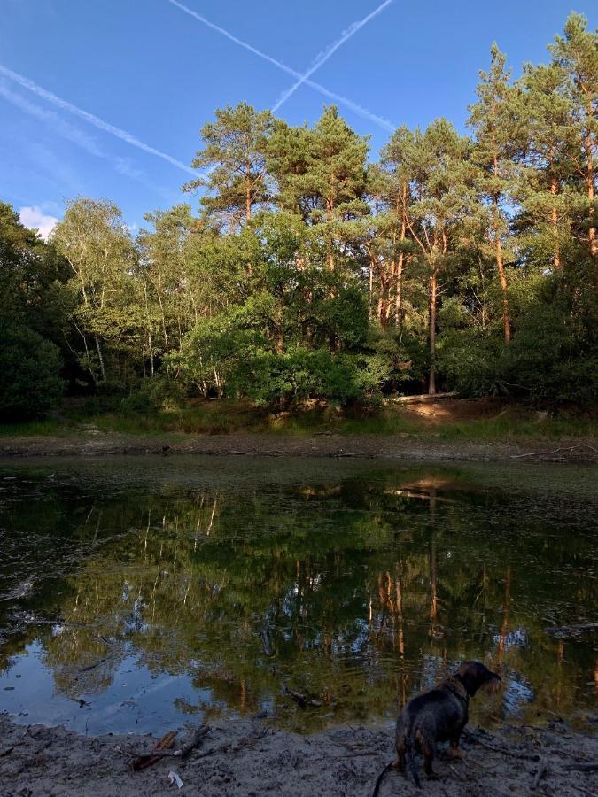 Gouden Hert: Relaxen In Comfort! #otterlo #hogeveluwe *